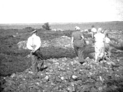 Veneretkellä 1953