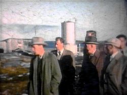 Leijonat Kylmäpihlajassa 1954