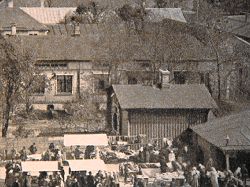 Torielämää 1910