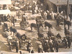 Torielämää 1910